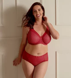 Berlei Beauty Stripe Underwired Minimizer Bra -Her Room Store berlei berl01 b541 cs6