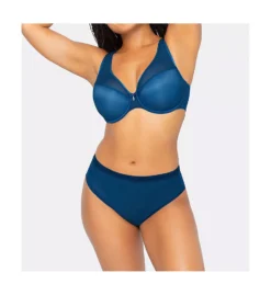 Sheer Mesh Plunge Push Up Underwire Bra -Her Room Store curvy couture cuco01 1310 cs3