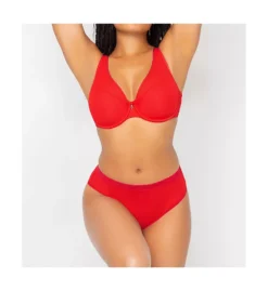 Sheer Mesh Plunge Push Up Underwire Bra -Her Room Store curvy couture cuco01 1310 cs4