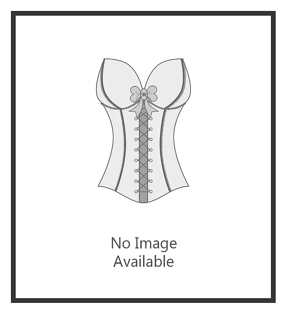 Lace Plunge Low Back Bustier with Garters Lace Plunge Low Back Bustier With Garters -Her Room Store va bien vab001 6363 ns7